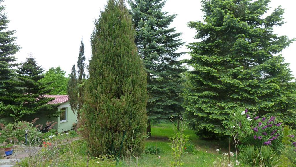 Bungalow Am Kuestrinsee Bei Lychen Exterior foto